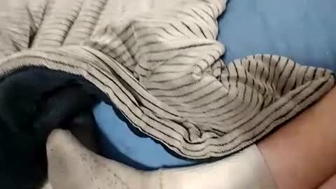 Lex online show from 10/14/25, 04:24