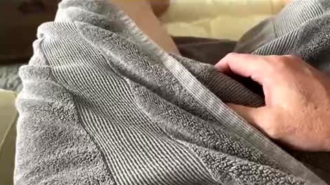 Aussie fatcock online show from 04/05/26, 12:52