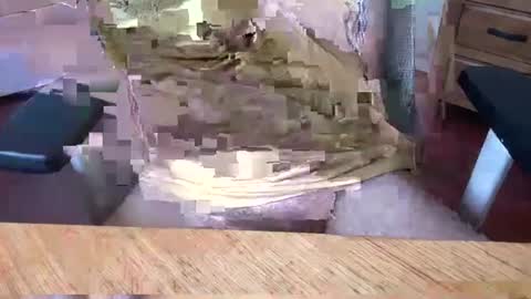 Rich online show from 03/05/25, 05:07