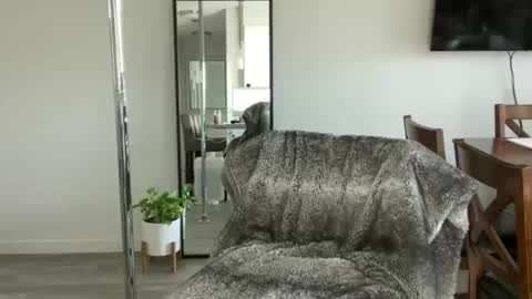 Little Ava  online show from 04/15/26, 07:58