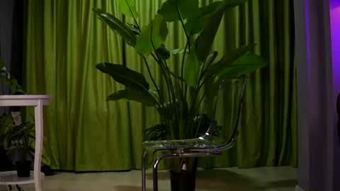Ava online show from 08/02/26, 07:23