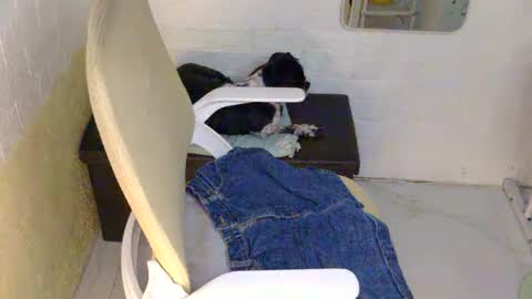 Rhian online show from 09/09/25, 02:49