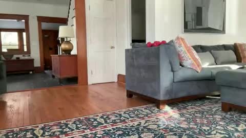 avgdiver online show from 02/12/26, 08:59