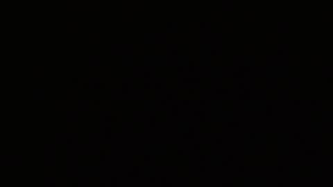 Alex online show from 02/03/26, 05:16