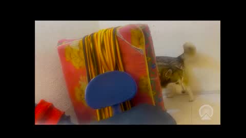 deliciosodemente online show from 02/04/26, 05:02