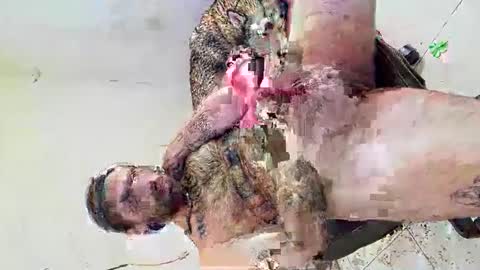 deliciosodemente online show from 03/04/26, 12:38