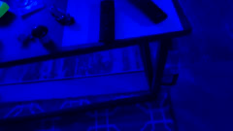 Snapshot of ayla_ty chatting on 09/28/25, 06:30 AylaTy online show from 09/28/25, 06:30