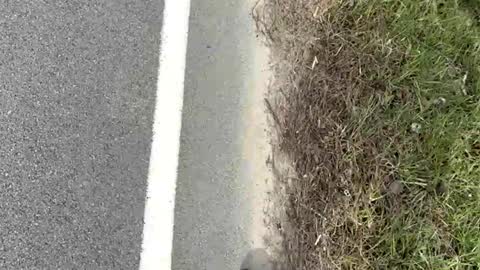 Snapshot of ayla_ty chatting on 03/15/26, 08:15 AylaTy online show from 03/15/26, 08:15