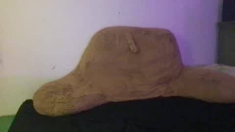 Snapshot of ayyo222 chatting on 12/24/24, 10:06 ayyo222 online show from 12/24/24, 10:06