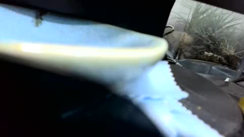 b1234567893 online show from 04/26/26, 01:25