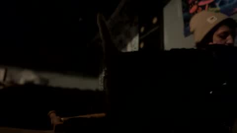 baby buddha  online show from 12/06/24, 07:56