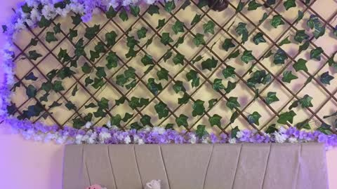 Snapshot of baby_xian chatting on 12/19/24, 02:45  Dani  online show from 12/19/24, 02:45