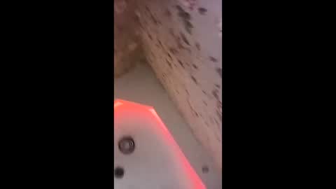 Baby online show from 03/14/26, 07:36