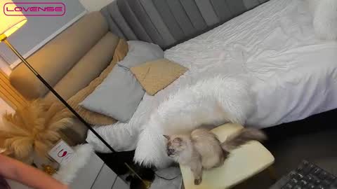 ASK ME IN PM online show from 10/27/25, 01:48