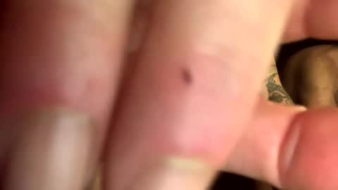 backwoodswolf online show from 03/02/25, 07:43