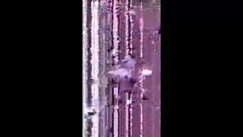 bad_boy2299 online show from 06/02/26, 05:26