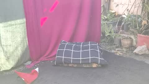 Snapshot of bad_wolf28 chatting on 11/25/25, 10:26 bad_wolf28 online show from 11/25/25, 10:26