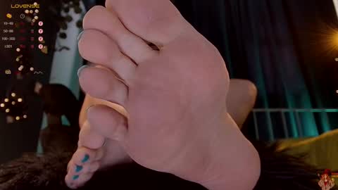 Franki online show from 11/20/25, 08:36