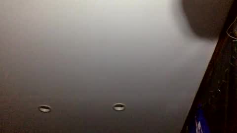 bagchaserbih online show from 04/02/26, 07:17