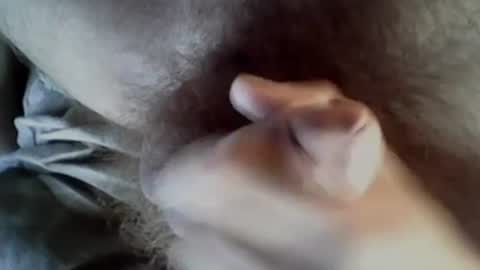 Snapshot of baghiraa chatting on 09/27/25, 08:30 Baghira online show from 09/27/25, 08:30