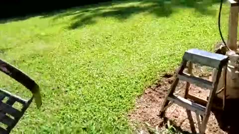 ballshanginglowaf online show from 09/19/25, 07:36