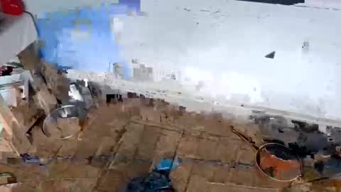 ballshanginglowaf online show from 02/01/26, 12:31