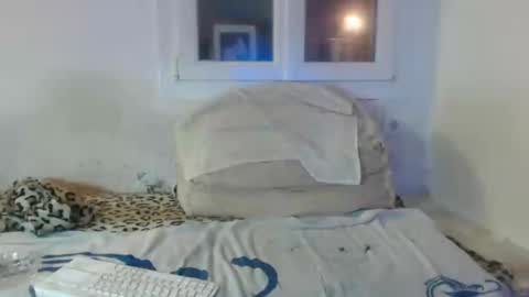 Snapshot of bambino6060 chatting on 12/02/24, 04:42 bambino6060 online show from 12/02/24, 04:42