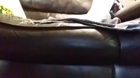 baobabtree8 online show from 01/09/25, 01:45