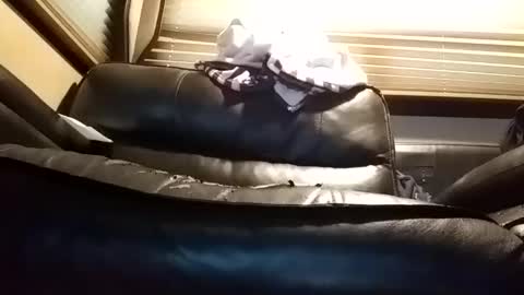 baobabtree8 online show from 01/14/25, 01:06