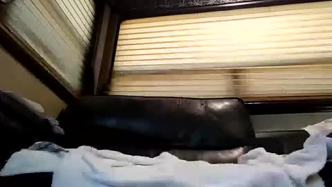 baobabtree8 online show from 02/26/25, 02:14