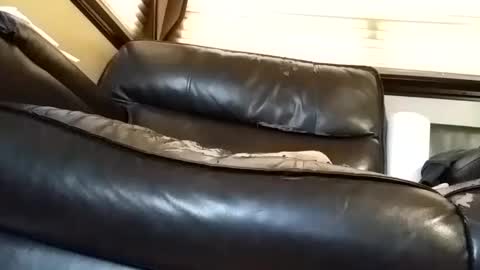 baobabtree8 online show from 03/06/25, 02:29