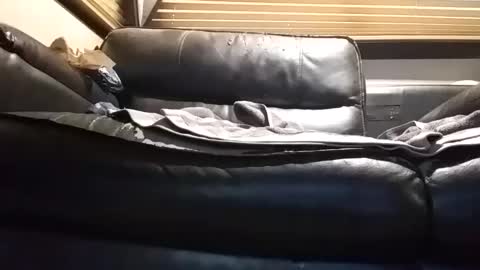 baobabtree8 online show from 09/26/25, 12:53