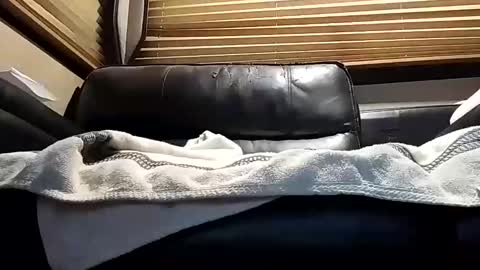 baobabtree8 online show from 10/04/25, 12:14