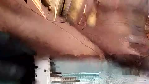 baobabtree8 online show from 10/15/25, 02:17