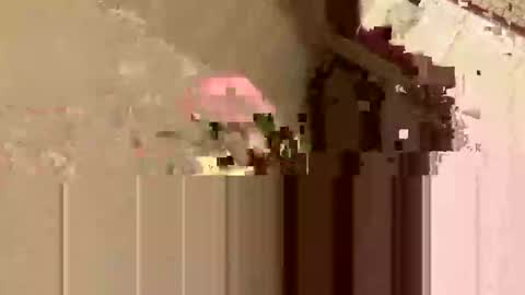 barkley314 online show from 11/03/25, 02:18