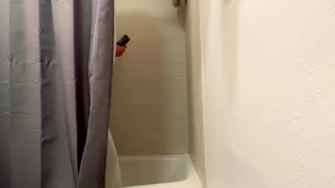 bathingcat online show from 01/06/25, 08:57