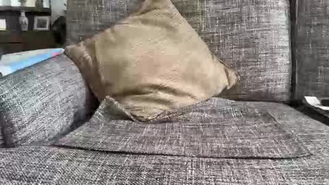 Snapshot of baykiwi54 chatting on 02/11/26, 10:26 baykiwi54 online show from 02/11/26, 10:26