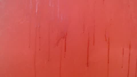 bayonette_black online show from 11/28/25, 07:16