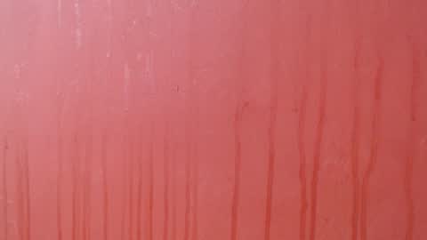 bayonette_black online show from 12/03/25, 08:18