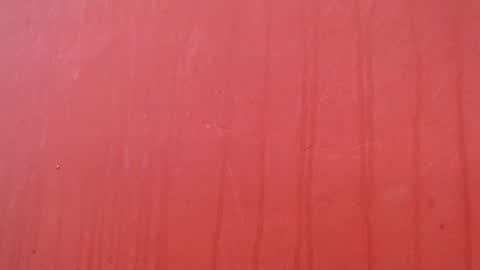 bayonette_black online show from 12/17/25, 07:09