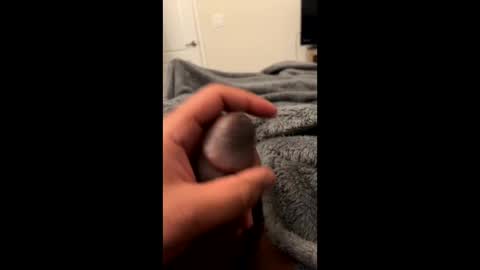 bbc4_fun online show from 02/23/25, 06:07