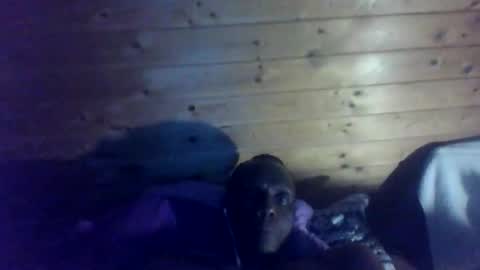 bbcmasterxl online show from 12/22/25, 01:02