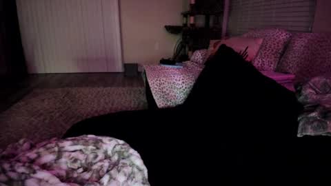 Shasta online show from 04/06/26, 04:32