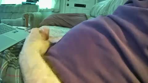 bcema2 online show from 09/26/25, 05:28