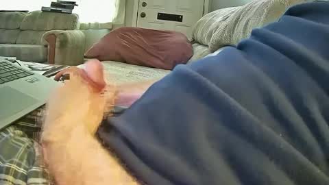 bcema2 online show from 10/08/25, 06:49