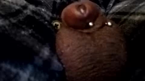 bcfalcon69 online show from 02/26/26, 05:06