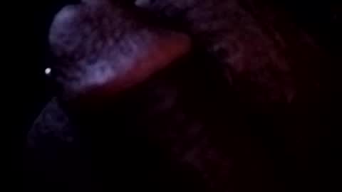 bcfalcon69 online show from 05/03/26, 03:45