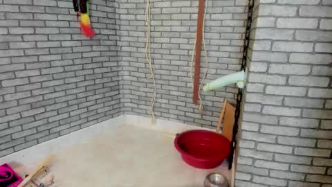 Meduza  online show from 11/17/25, 02:34