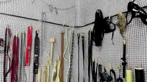 Meduza  online show from 02/20/26, 06:26