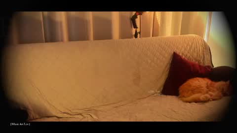 Call me Bells  Next Stream on Wednesday    Feb 26  online show from 04/18/26, 07:58